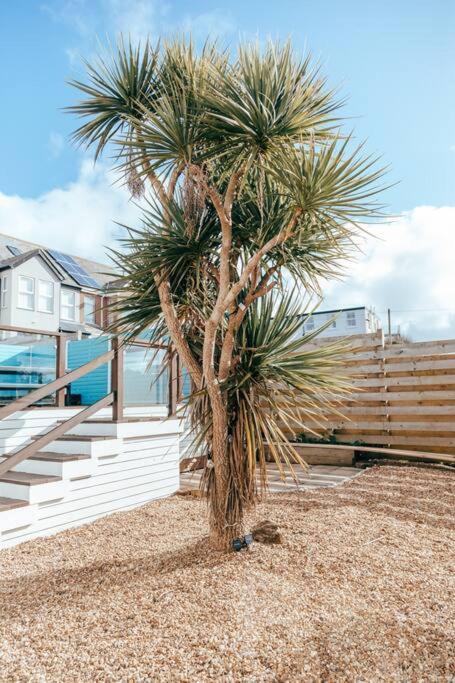 The Hideout - Newquay - Fully Stocked Eco Escape